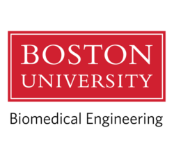 Biomedical Engineering, Boston University